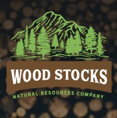 Организация вуд. Интеграция основного и дополнительного образования в школе. Wood company. Организация вуд. Модель реализации.